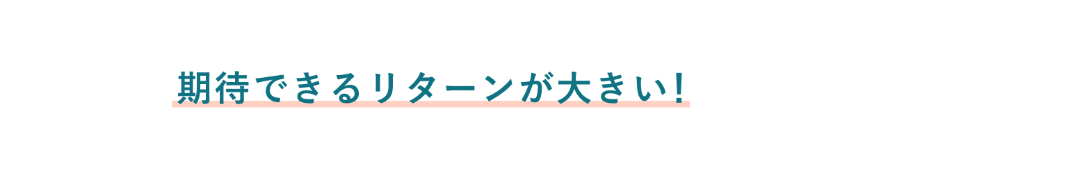 Point 01 期待できるリターンが大きい！
