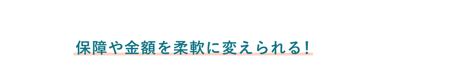 Point 02 子どもの進路や状況に合わせて保障や金額を柔軟に変えられる！
